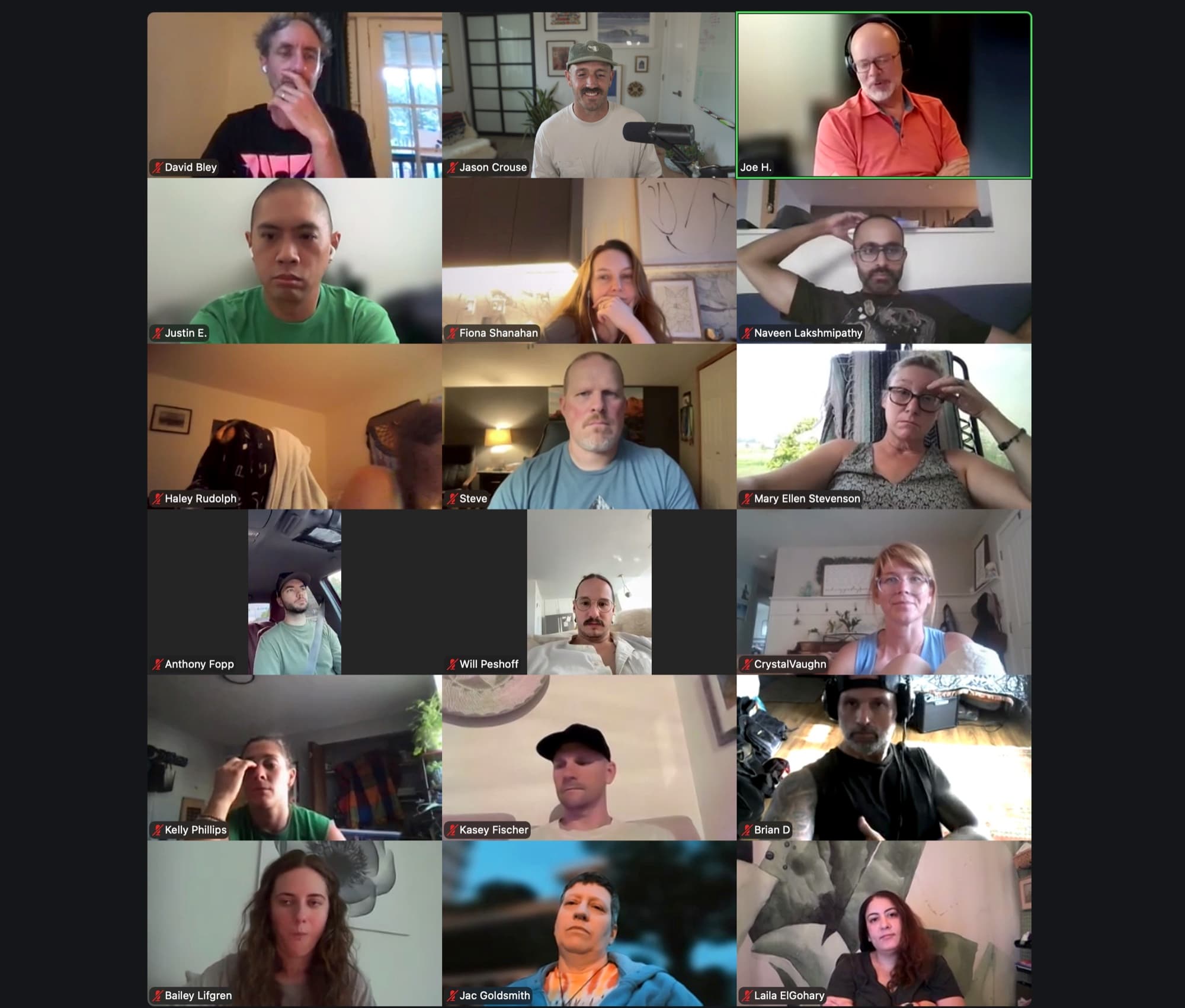 Saints of Flow weekly coaching call, a live Zoom grid of members and coaches