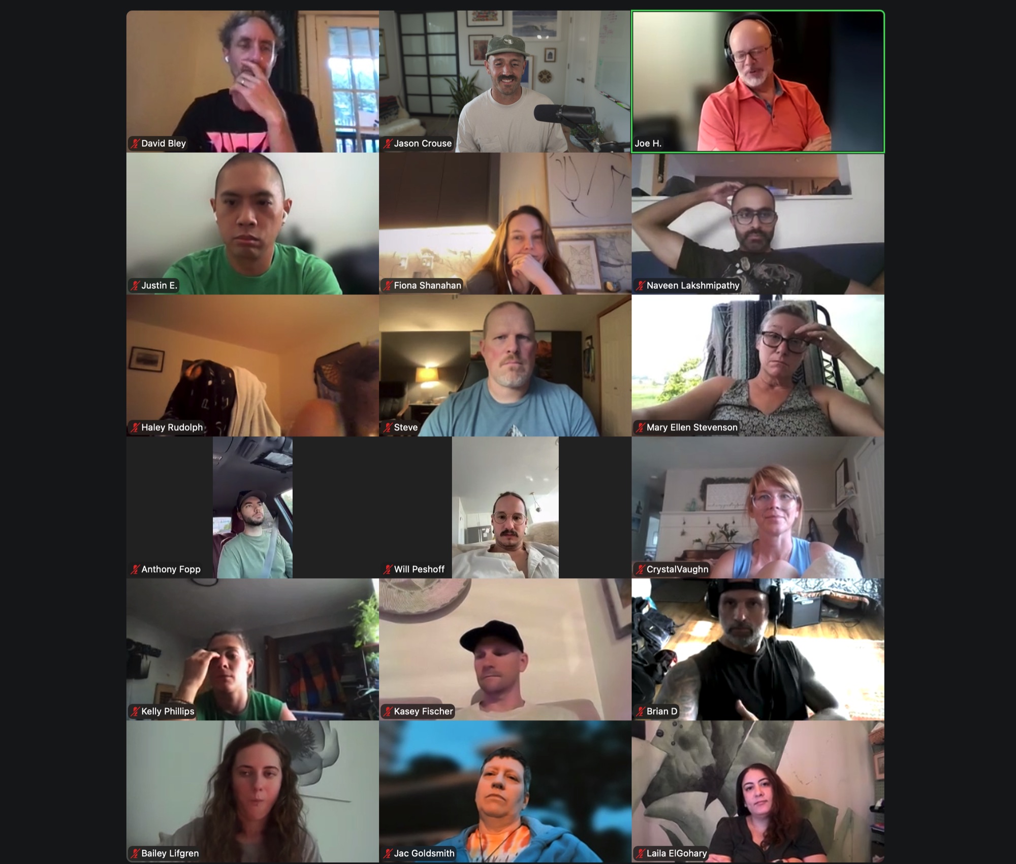 Saints of Flow weekly coaching call, a live Zoom grid of members and coaches